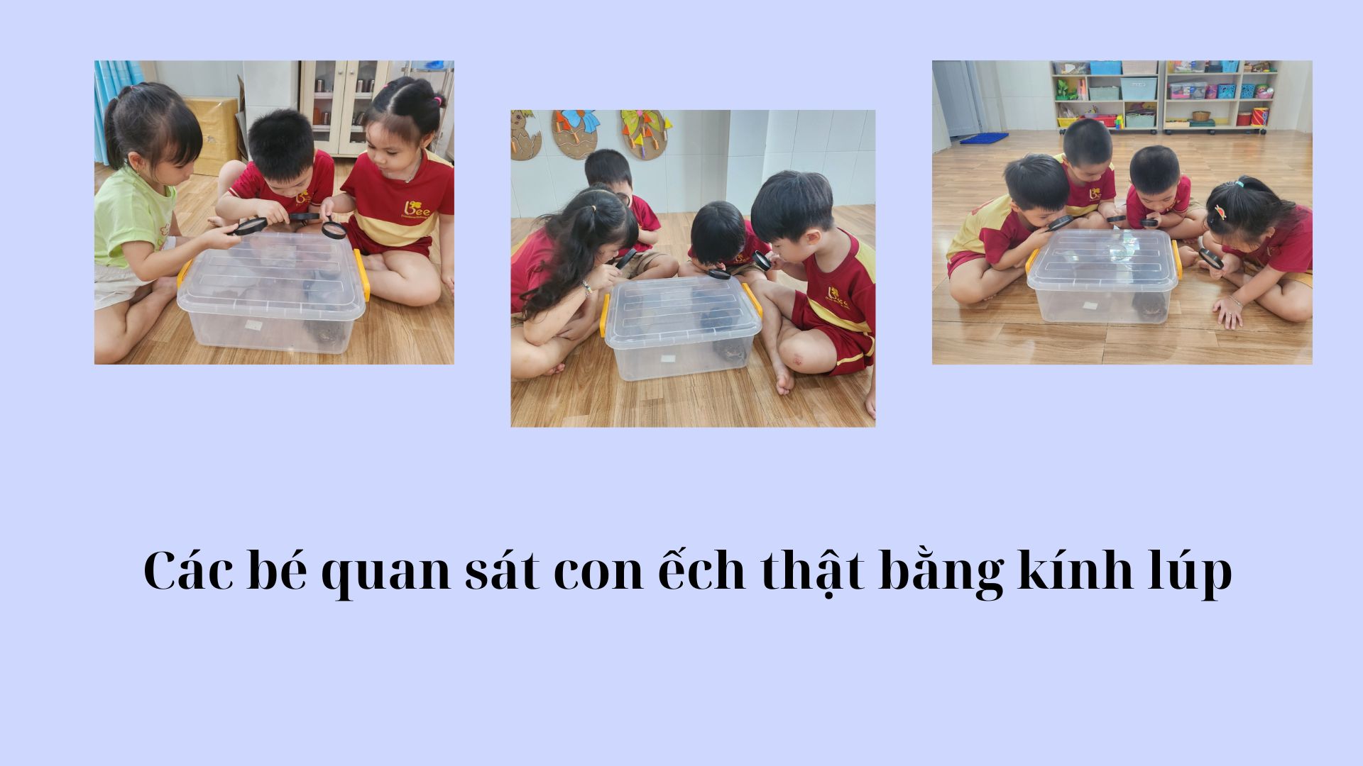 Các bé cùng quan sát, trò chuyện và khám phá chú ếch