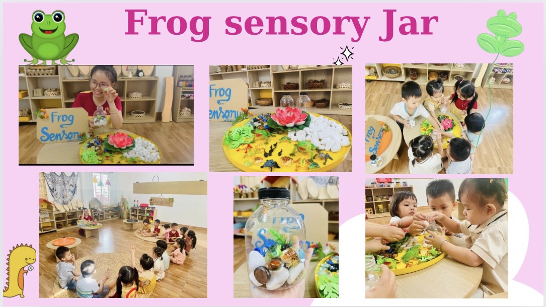 Tiết Sensory của lớp Honey Bee