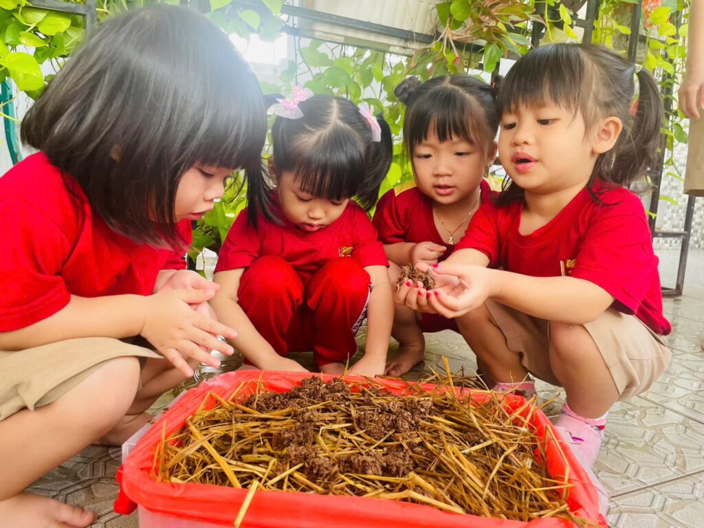 BÉ TRỒNG NẤM RƠM